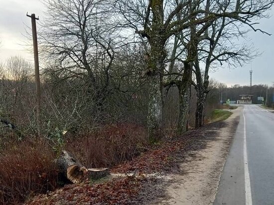     Фото: администрация Стругокрасненского района