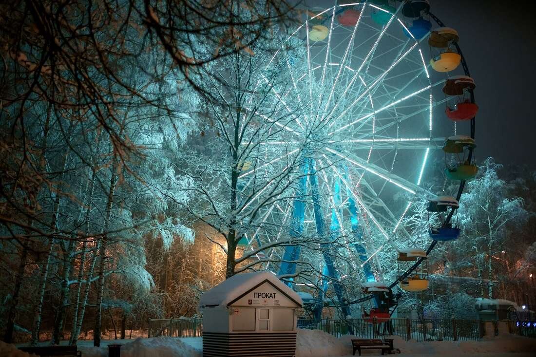 московский парк зимой