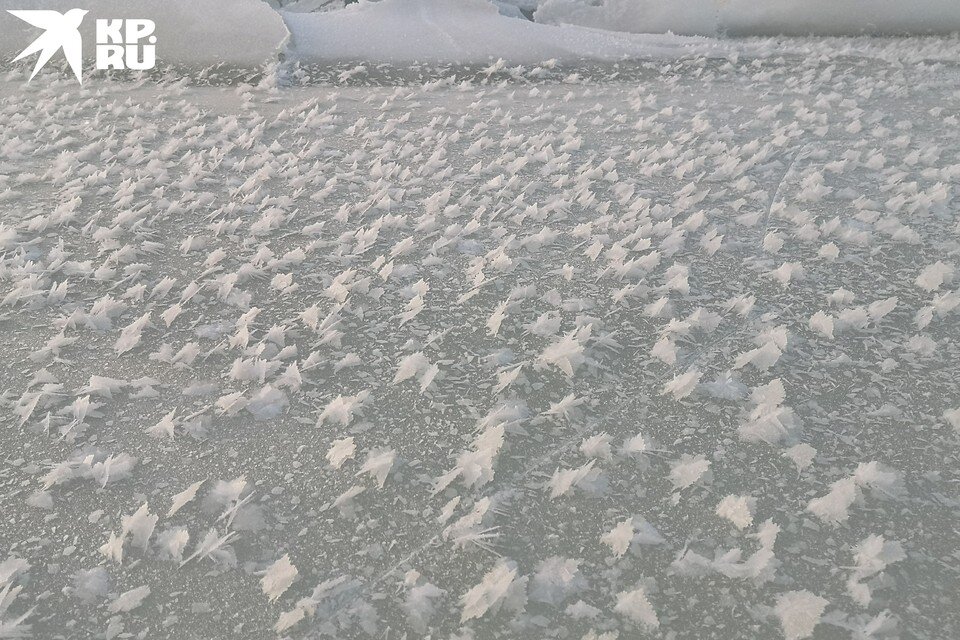     Снежные бабочки на льду - такого нет даже на Байкале. Фото: Александр УСТЮЖАНИН