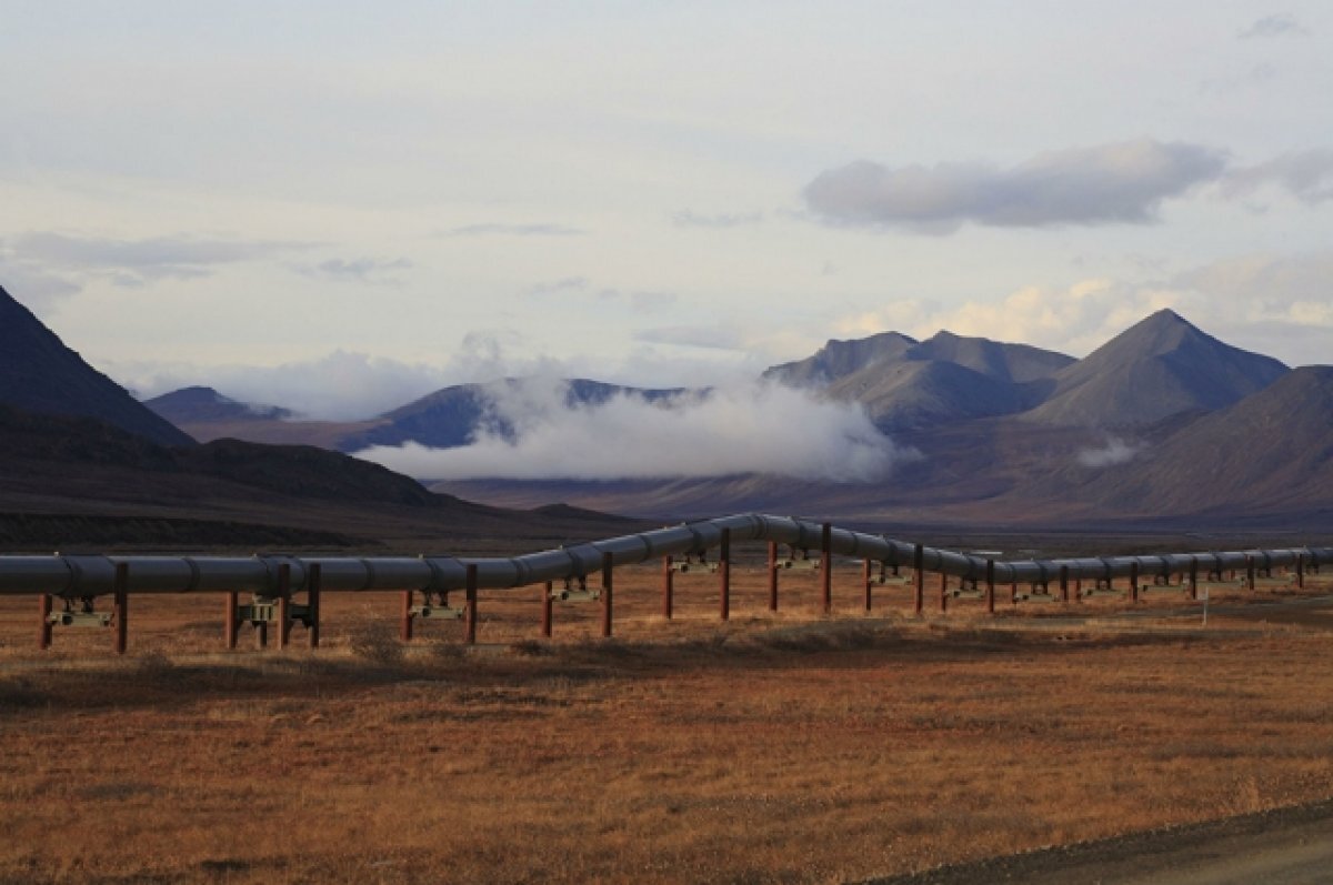    В Бундестаге рассказали о возможных последствиях потолка цен на нефть из РФ