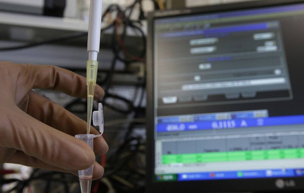 © Красильников Станислав/ТАСС 