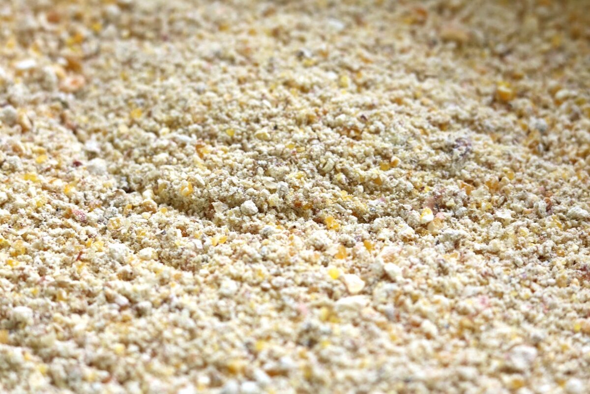 Заготовка кукурузы на корнаж постепенно набирает все большую популярность в животноводческих хозяйствах страны. Управляющий товарной группой кормоуборочной техники компании Ростсельмаш Владимир Зинов рассказал о пользе корнажа и особенностях технологий уборки.