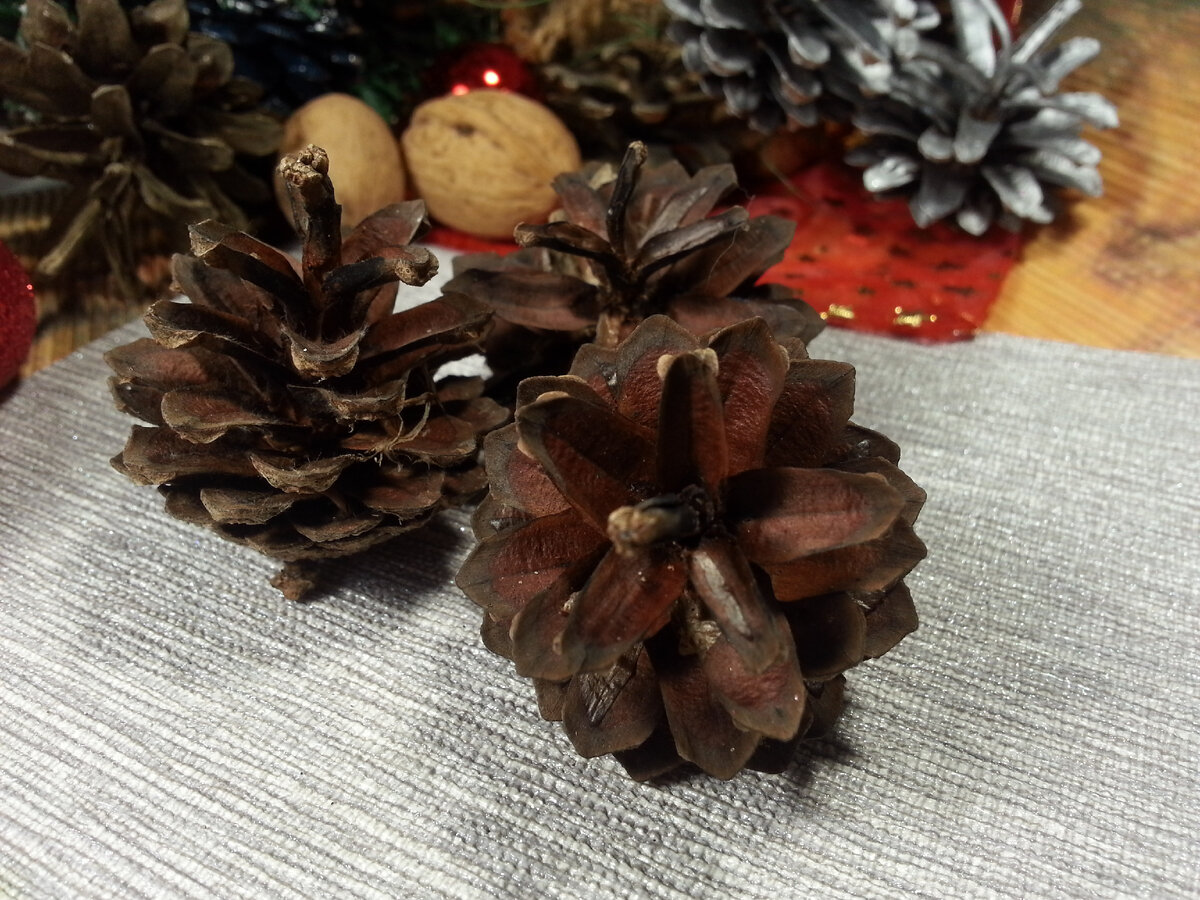 Сосновые шишки – универсальный природный материал для поделок