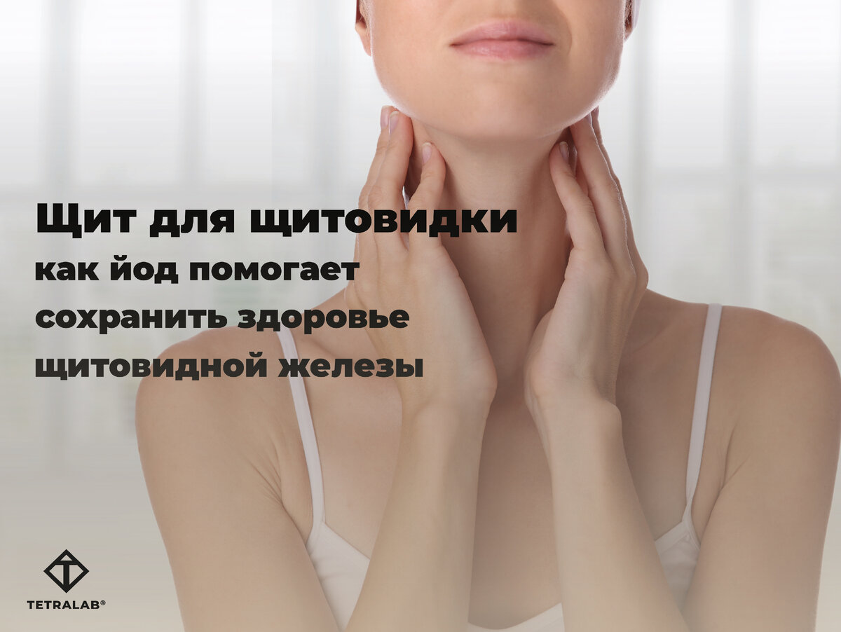 Щит для щитовидки: как йод помогает сохранить здоровье щитовидной ...