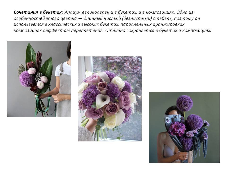 Фото из Презентации автора.