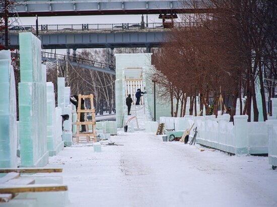     Фото: Густаво Зырянов / МК в Новосибирске