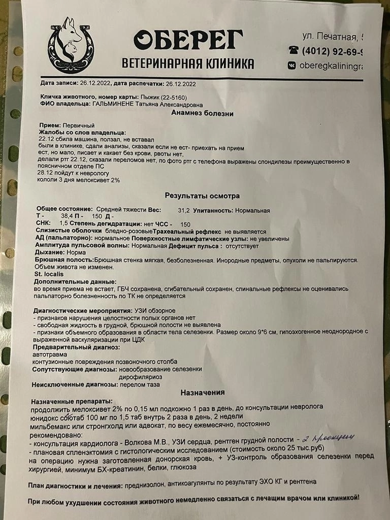 Выписка из клиники «Оберег» от 26.12. с указанием примерной стоимости операции