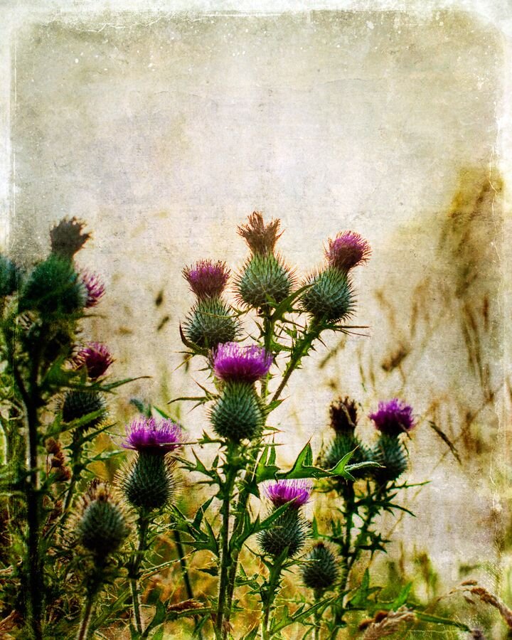 Картинка из интернета.