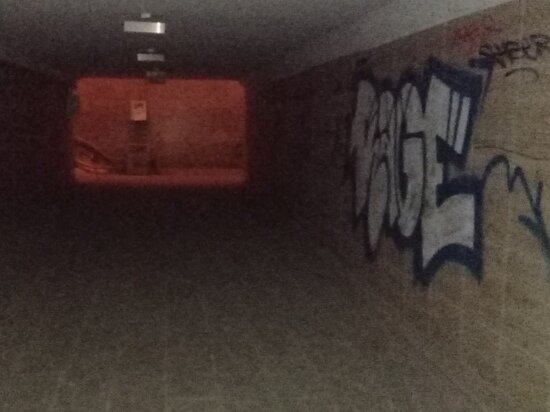     Фото: Вячеслав Коротин