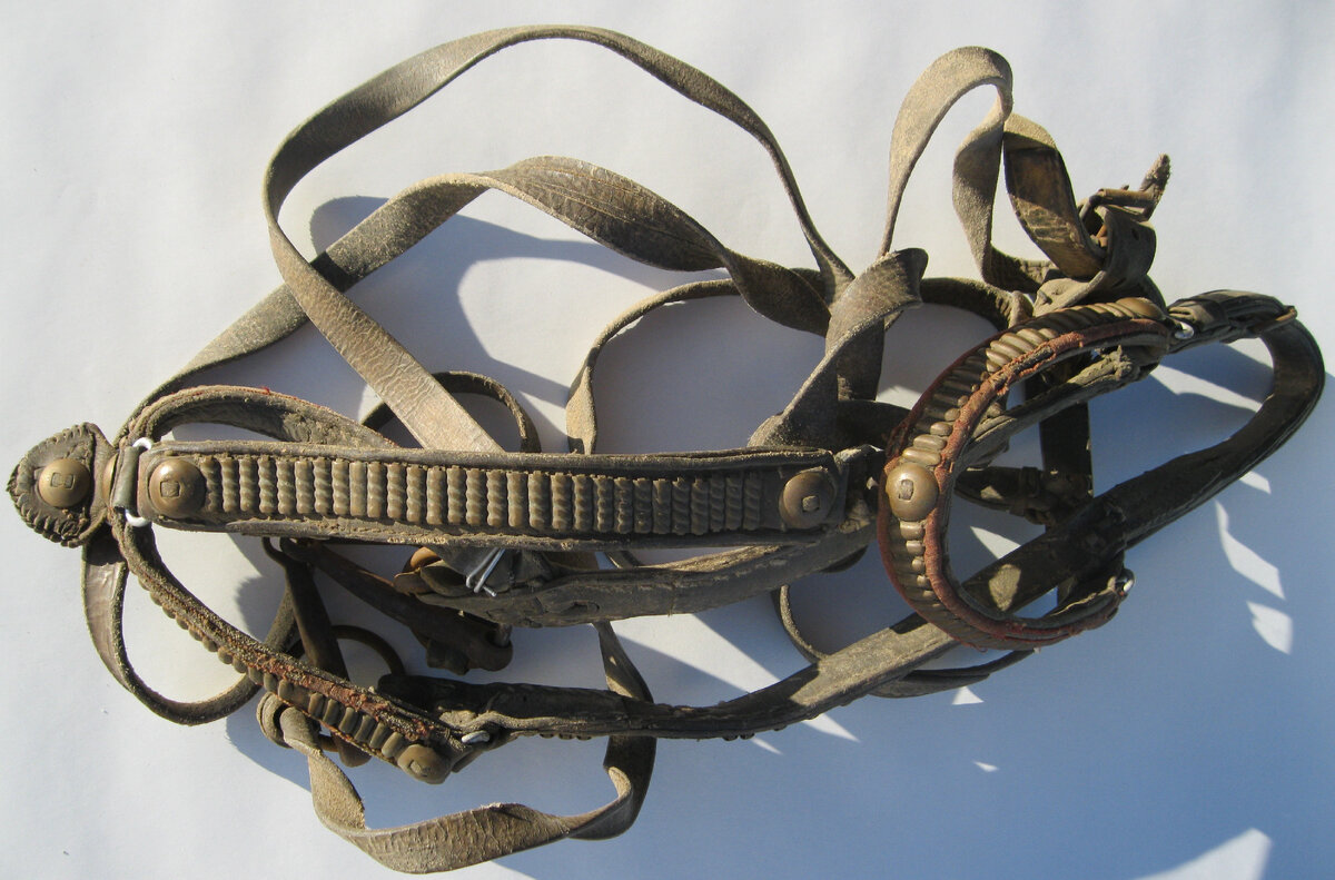 Фотография автора