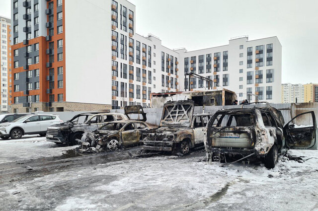    Фото: АГН Москва/ Денис Воронин