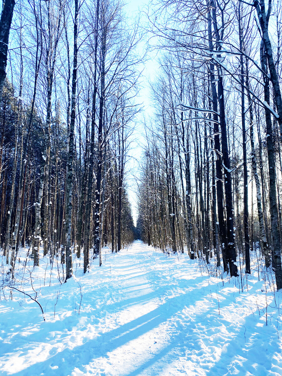 Фото из личного архива 