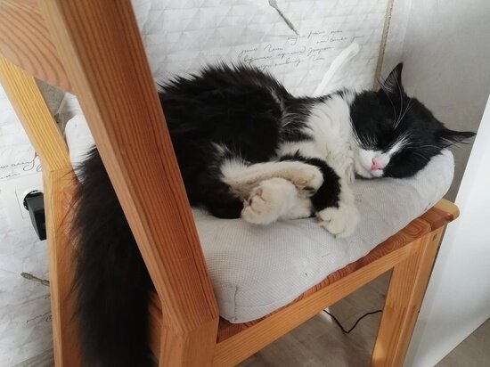     Фото: Илья Котов/МК