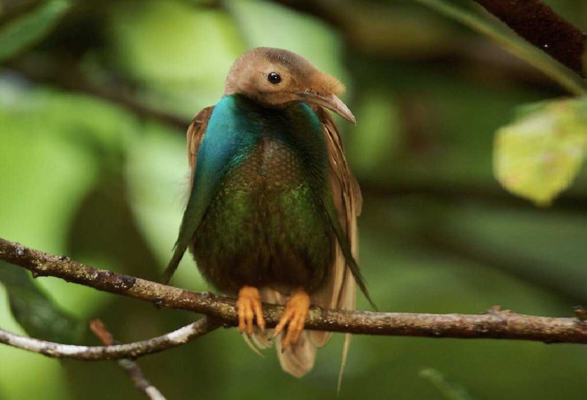 Иногда так хочется отдохнуть.