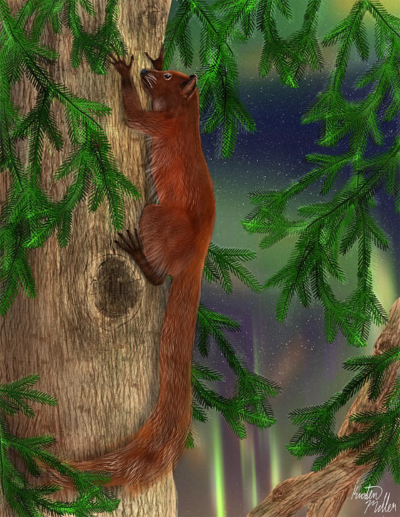 Ignacius dawsonae от Kristen Miller