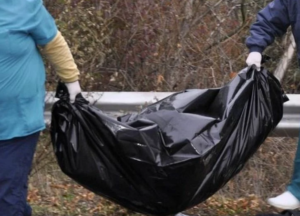    Фото: twitter.com Юлия Карягина