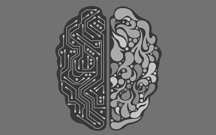    Источник изображения: Pixabay