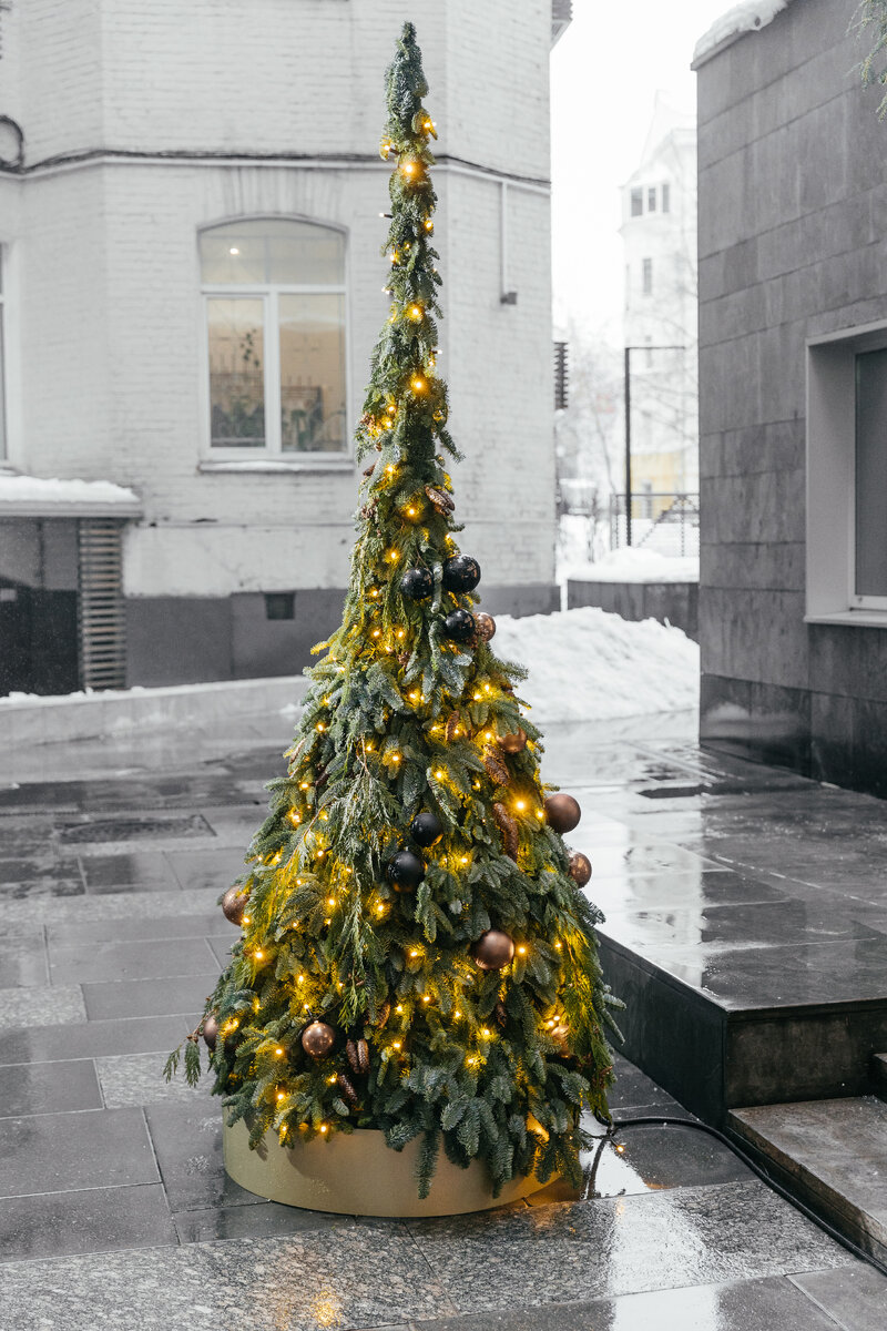 Турандот и Artbox Decor