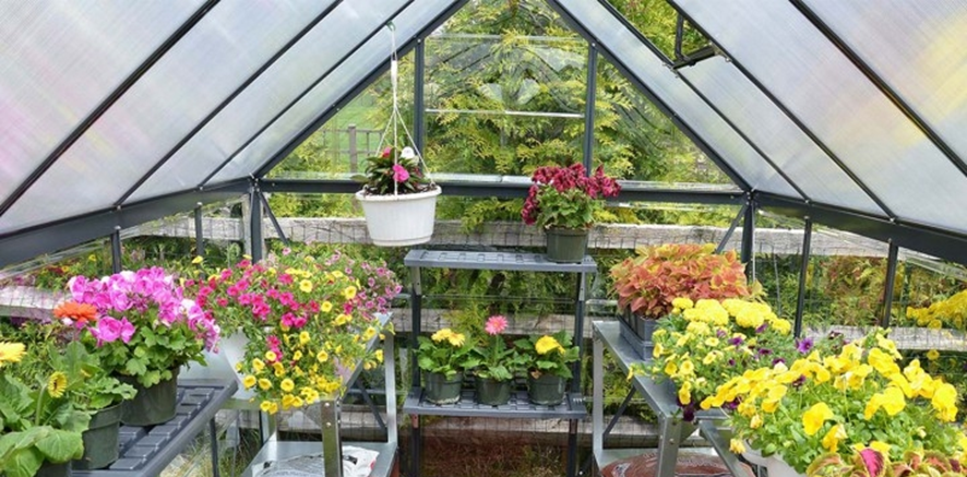 Картинка из интернет источника.