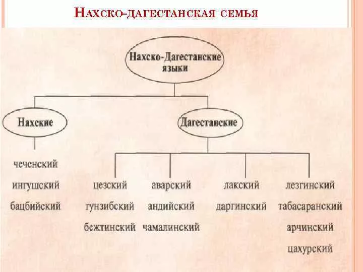 Язык северного кавказа. Нахско-Дагестанская группа языков. Нахско Дагестанская семья.