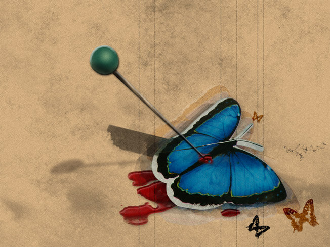 Фото из интернета