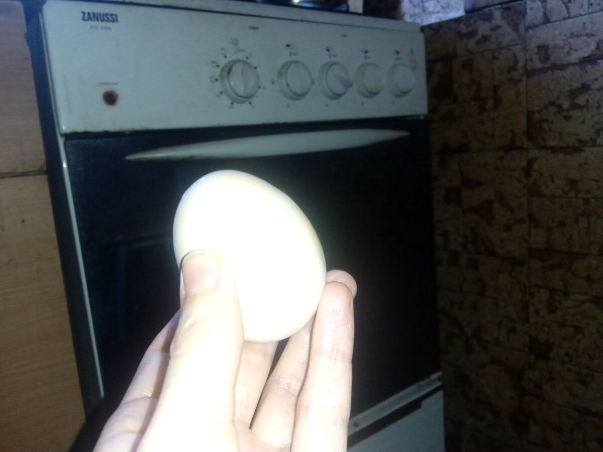 Сварить яйцо можно в... духовке! 