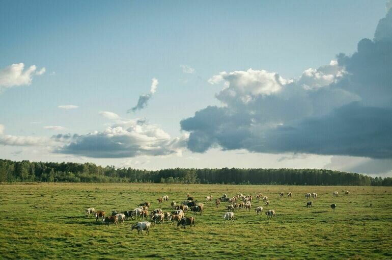   Fedor Shlyapnikov / Unsplash