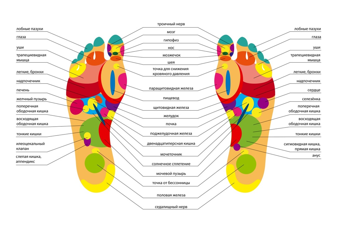 Биологически активные точки на стопе. Акупунктурные точки на стопе человека. Проекция органов на ступне. Точки органов на стопе человека.
