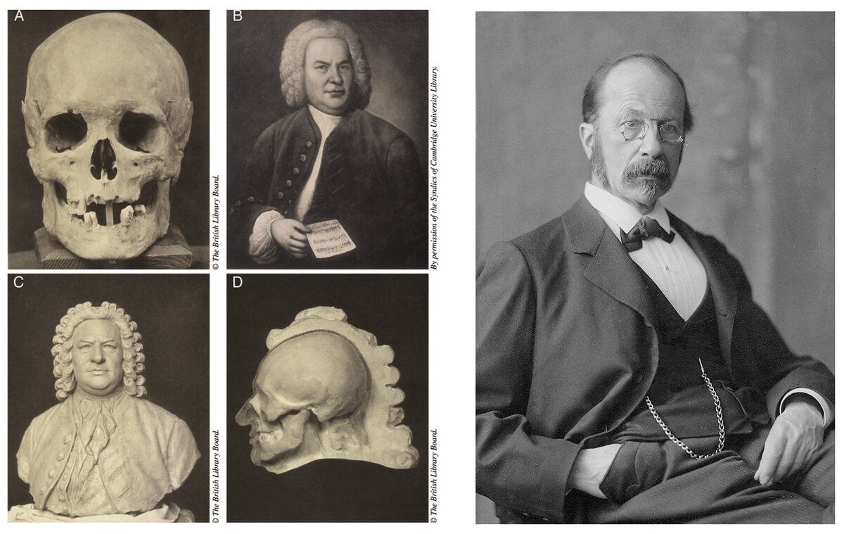 Слева: восстановление внешнего облика И. Баха по черепу. Справа: фотопортрет анатома Вильгельма Гиса. Изображения взяты с сервиса Яндекс.Картинки