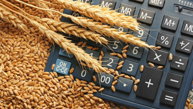     Зерно. Калькулятор. Фото предоставлено АО «Россельхозбанк»