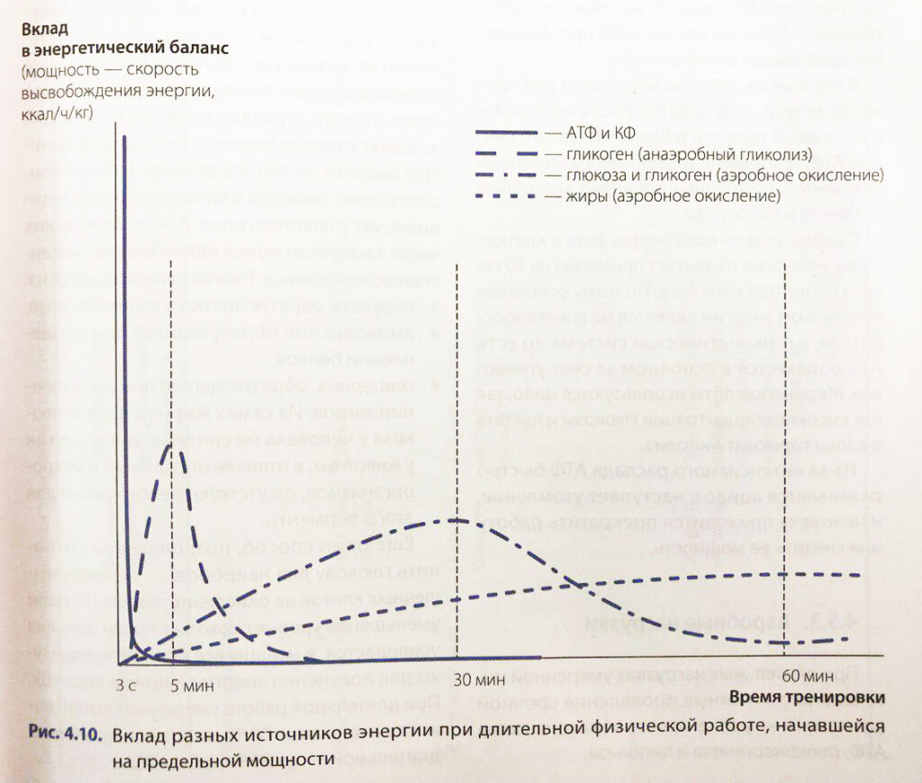 При этом запасы “углеводной энергии” (гликогена) в организме тоже не бесконечны. Вот как меняется доля вклада разных веществ в процессе тренировки – на графике из учебника FPA:В учебнике “Основы анатомии, физиологии и биомеханики” Ассоциации профессионалов фитнеса на таком графике показаны основные источники энергии для тренировки – в зависимости от времени: в первые секунды тратятся оперативные запасы АТФ и креатинфосфата, затем подключаются углеводные запасы и медленно растет вклад жиров.