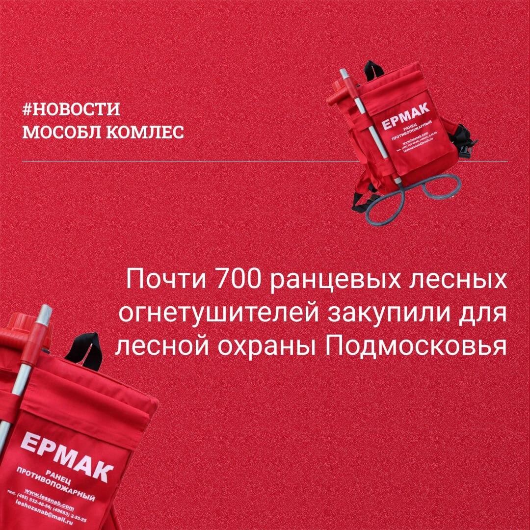   Фото: комитет лесного хозяйства Московской области