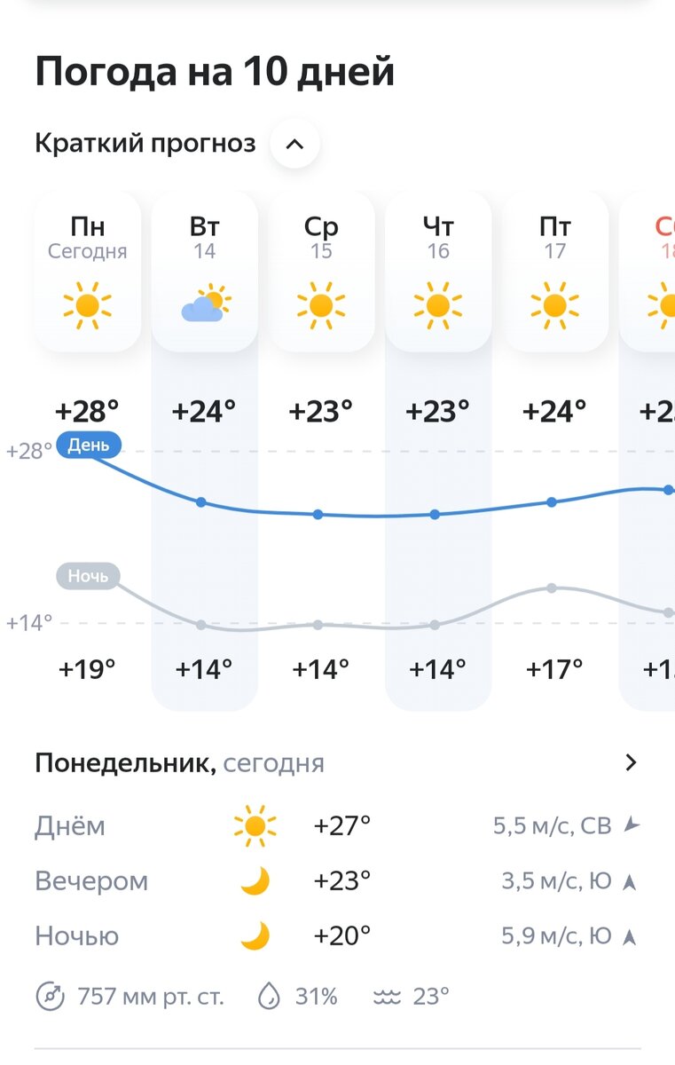 Прогноз на неделю не радует 