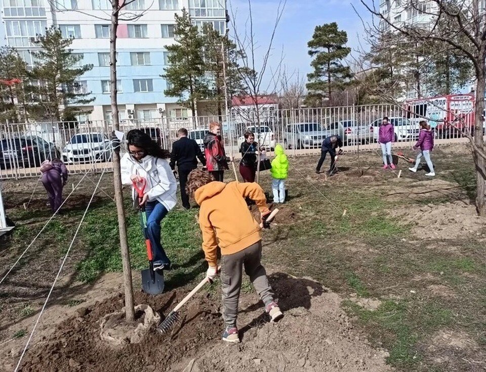     В начале апреля в Волгограде пройдет общегородской субботник Екатерина СИМОХИНА