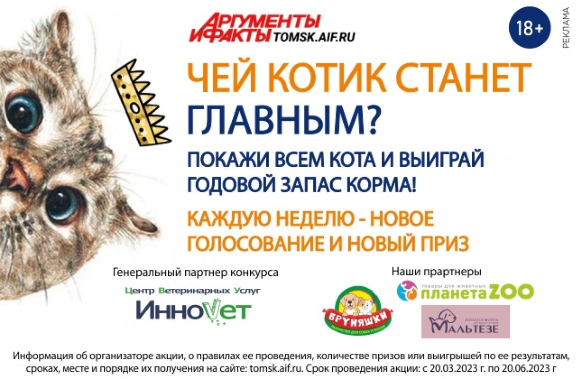    АиФ-Томск запускает фотоконкурс "Главный котик Томска 2023"