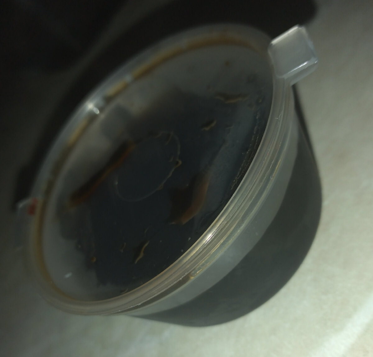 Личное фото автора Bahtysha. 