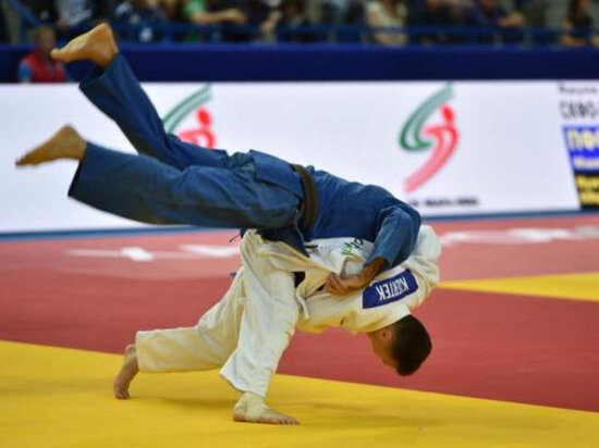     Международные соревнования по дзюдо пройдут в Хабаровске ФОТО: мэрия Хабаровска