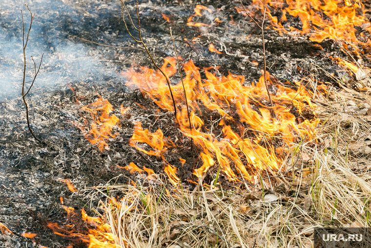    В Свердловской области начинается пожароопасный сезон