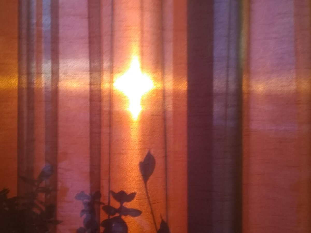 Фото автора. Восход сегодня 