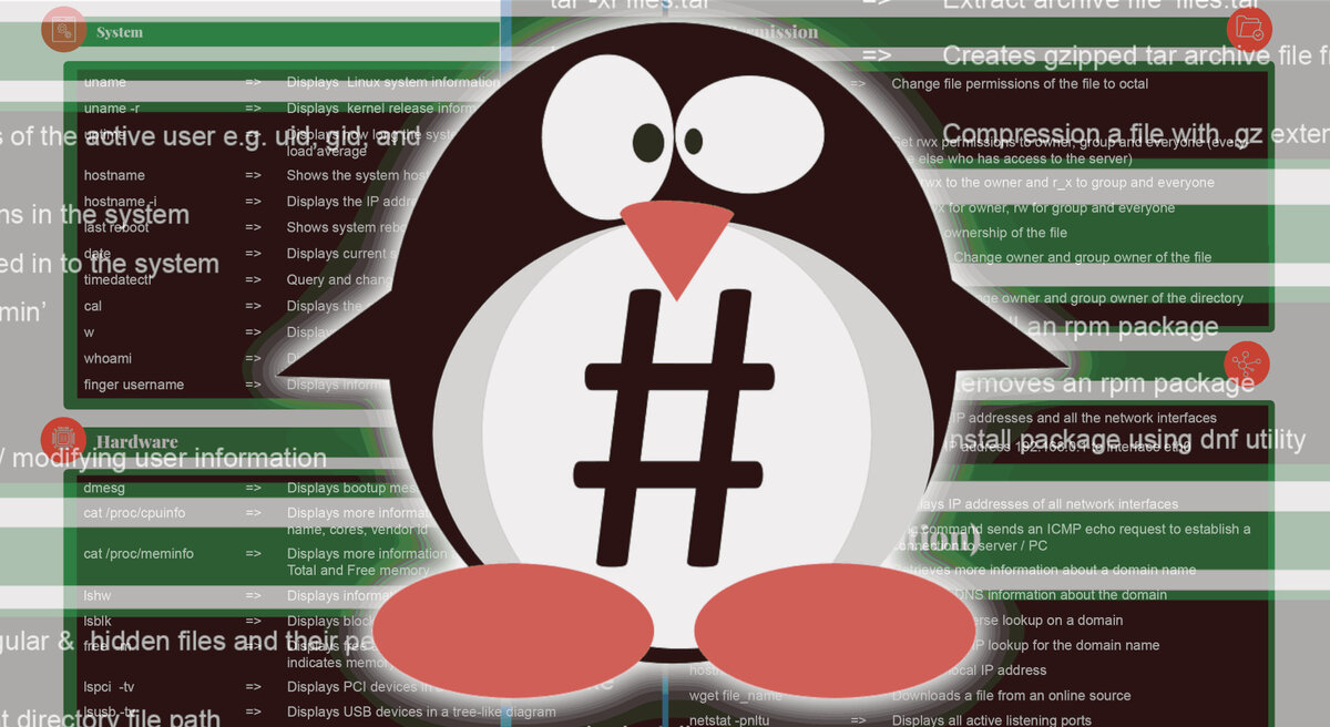 Пять основных ошибок начинающих пользователей Linux | Linux для чайников:  гайды, статьи и обзоры | Дзен