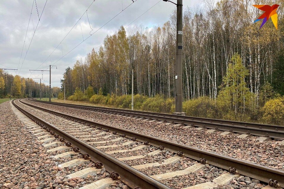     В Смолевичах скоростной поезд насмерть сбил 14-летнюю девочку. Снимок используется в качестве иллюстрации. Фото: архив «КП»