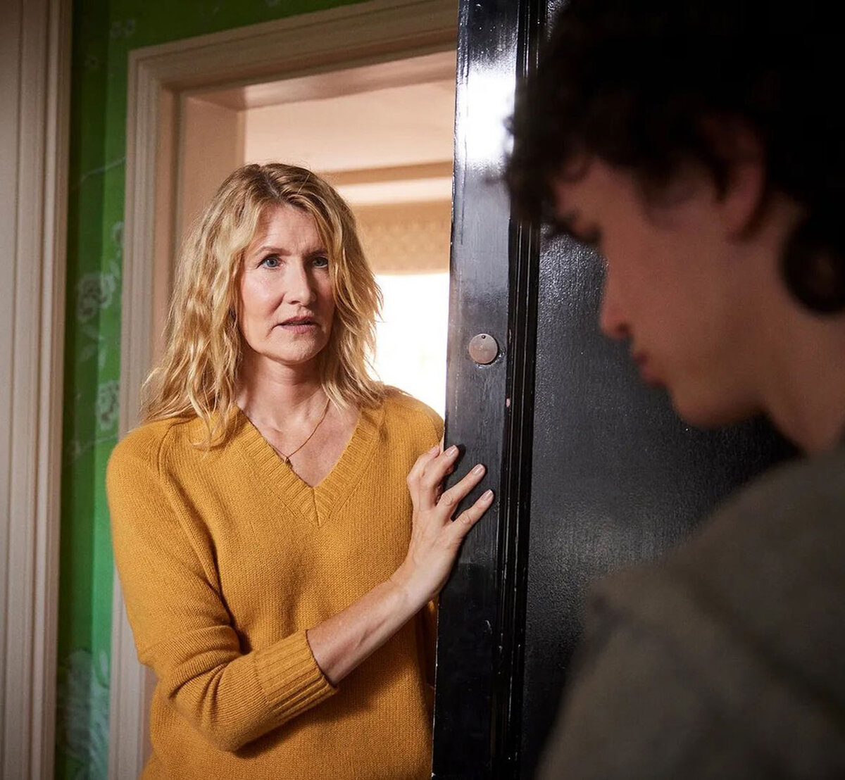 Мать Николаса сыграла Лора Дерн.