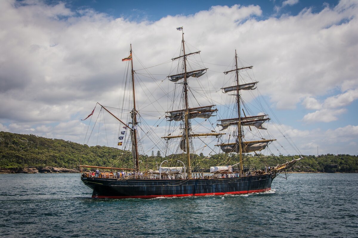 Изображение взято из открытых источников 