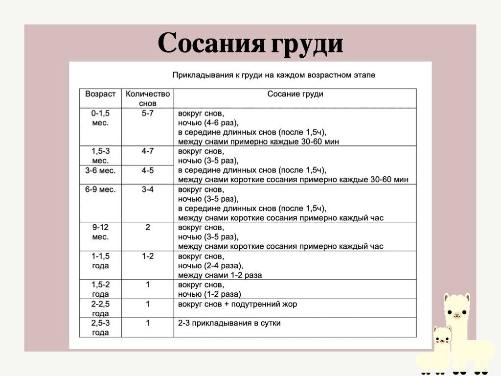 Примерные возрастные нормы прикладываний к груди