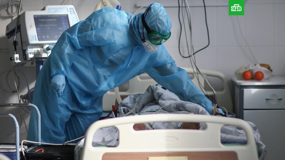    Фото: РИА Новости © 2023, Константин Михальчевский