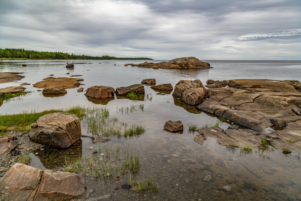 Круги на белом море