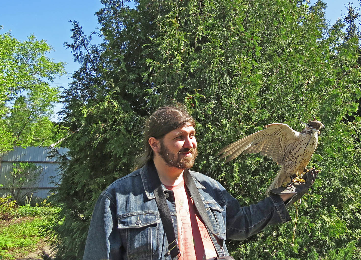 Кремль новгородский соколиный двор. Коломенское соколиный двор. Соколиный двор великий новгород. Соколиный двор. Музей соколиный двор великий новгород.