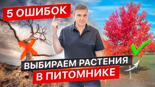 Секреты выбора растений от именитой компании по ландшафтному дизайну. Раскроем все тайны