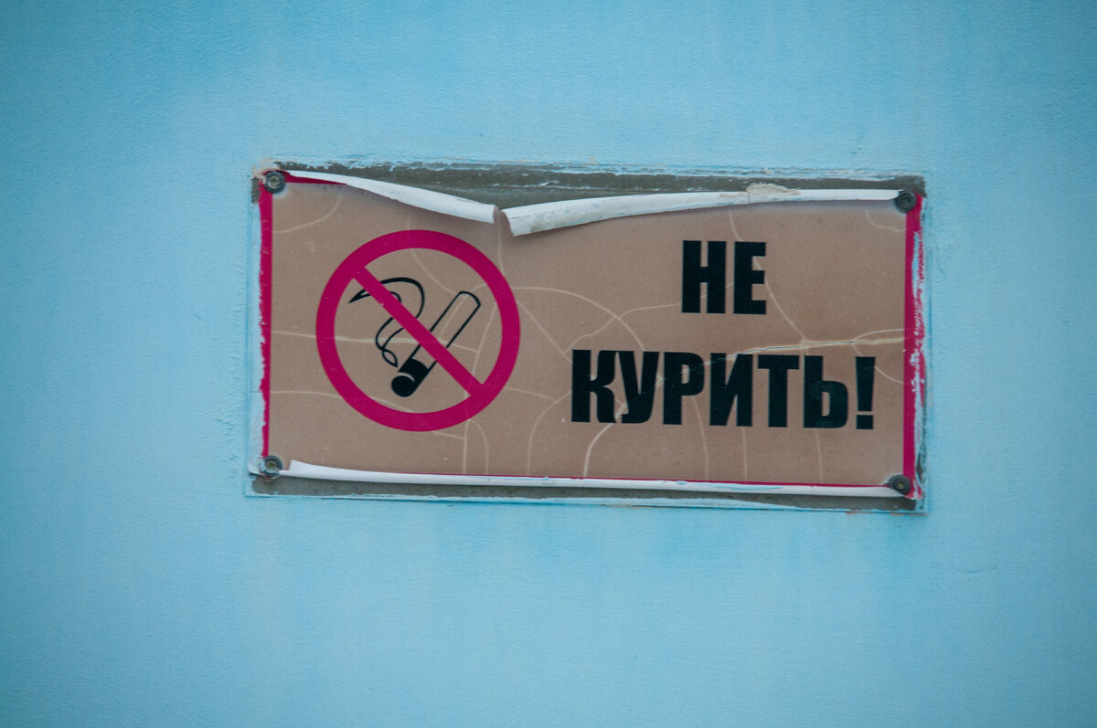 фото SVETLANA VOZMILOVA/GLOBAL LOOK PRESS