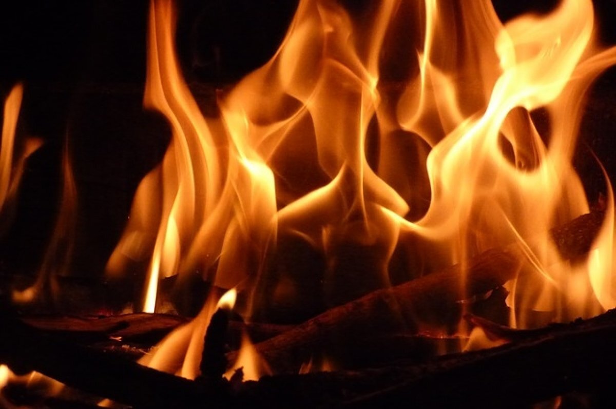    Полицейских наградят за помощь в спасении людей при пожаре в Симе